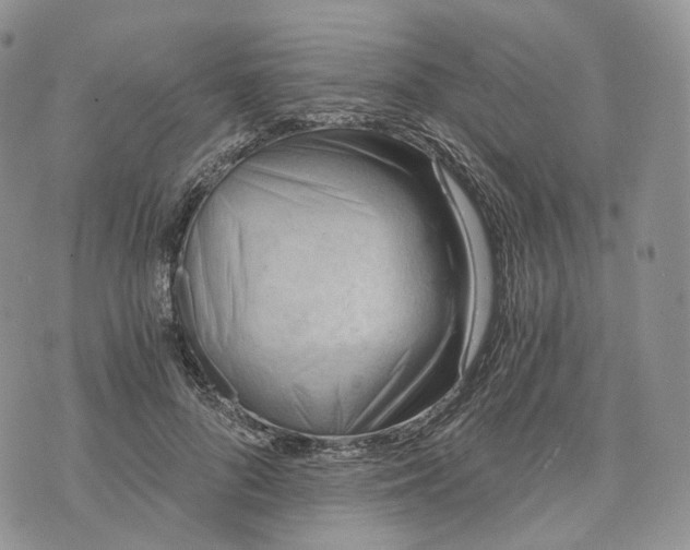 X0000072950696200608111626