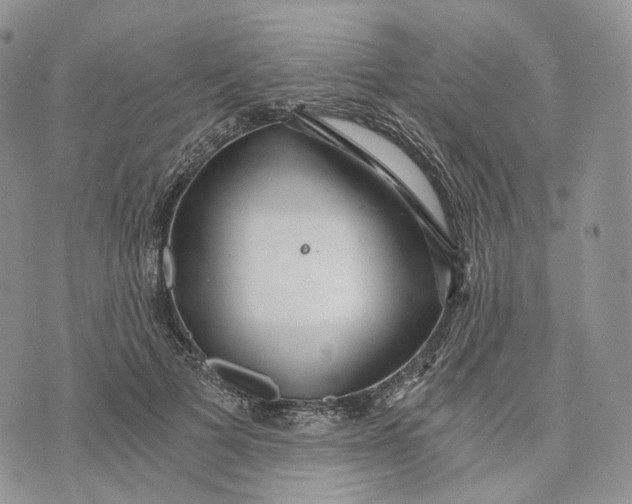 X0000072950697200608111626