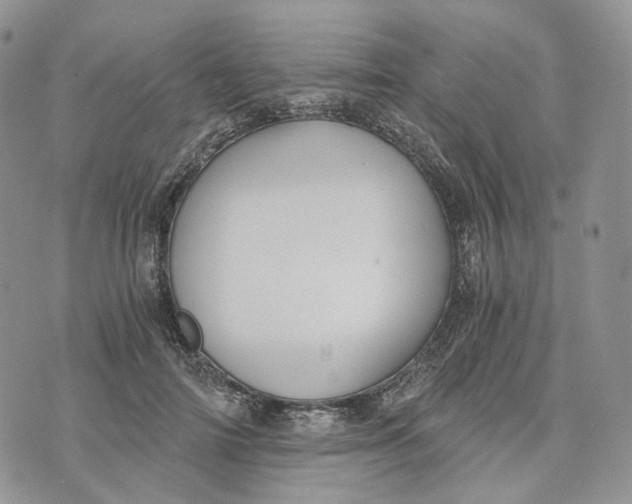 X0000072950698200608111626