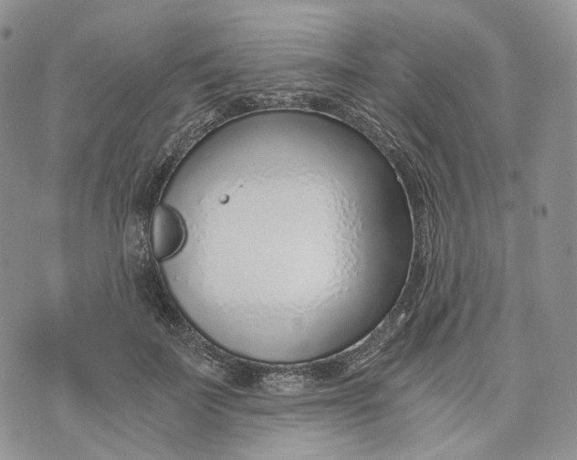 X0000072950699200608111626