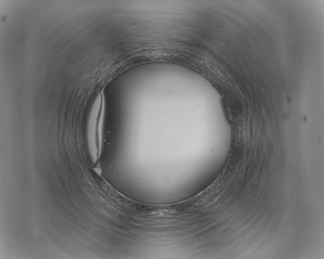 X0000072950700200608111626