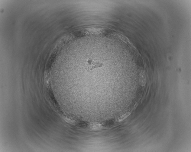 X0000072950701200608111626