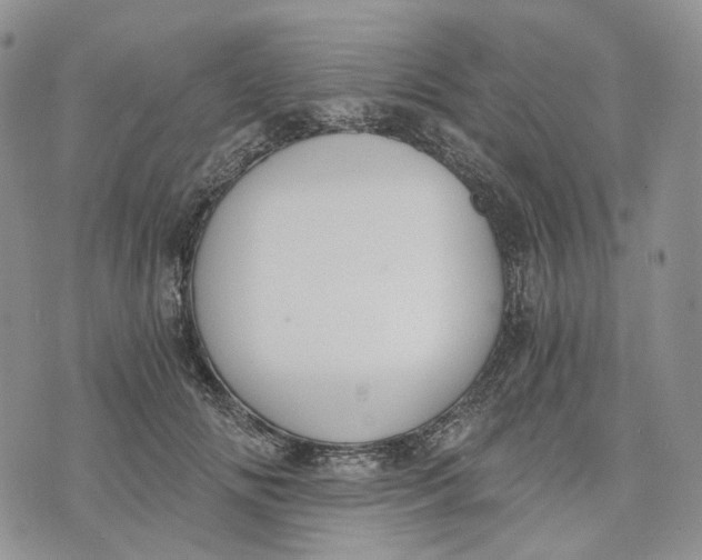 X0000072950702200608111626