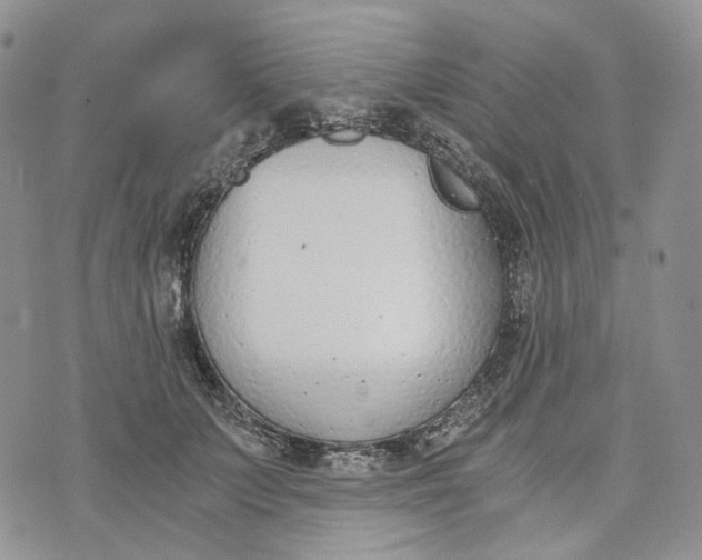 X0000072950703200608111626