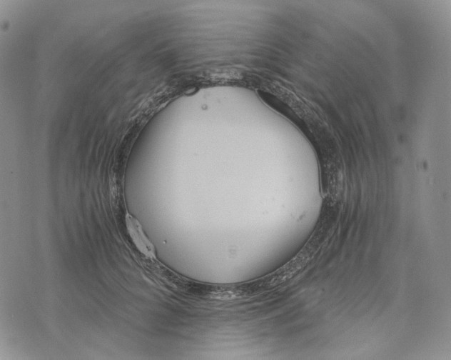 X0000072950704200608111626