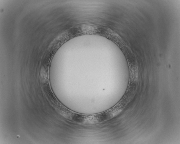 X0000072950705200608111626