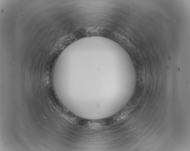 X0000072950706200608111626