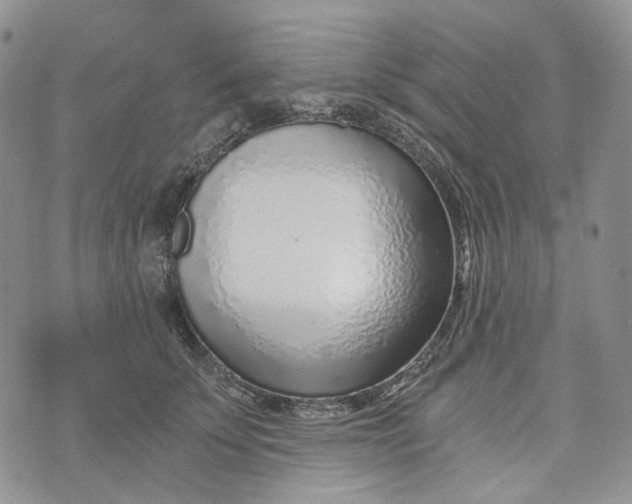 X0000072950707200608111626