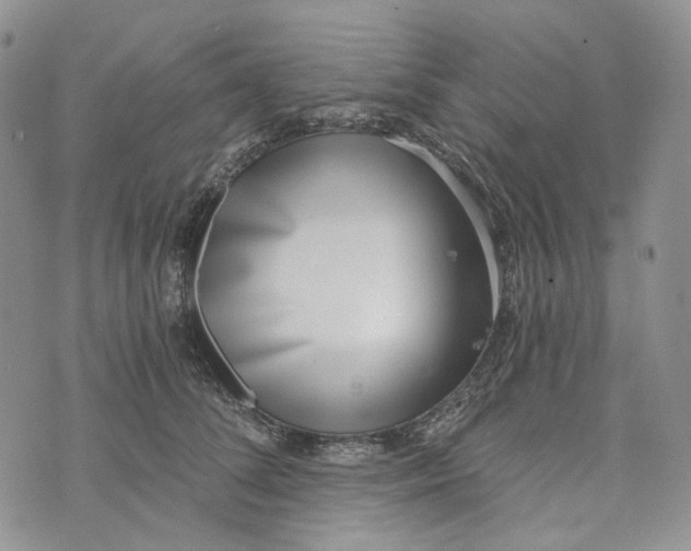 X0000072950708200608111626