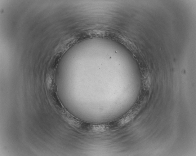 X0000072950709200608111626