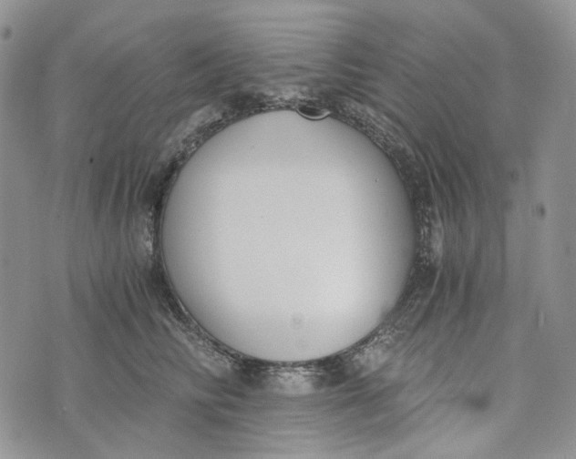 X0000072950710200608111626