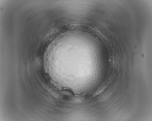 X0000072950711200608111626