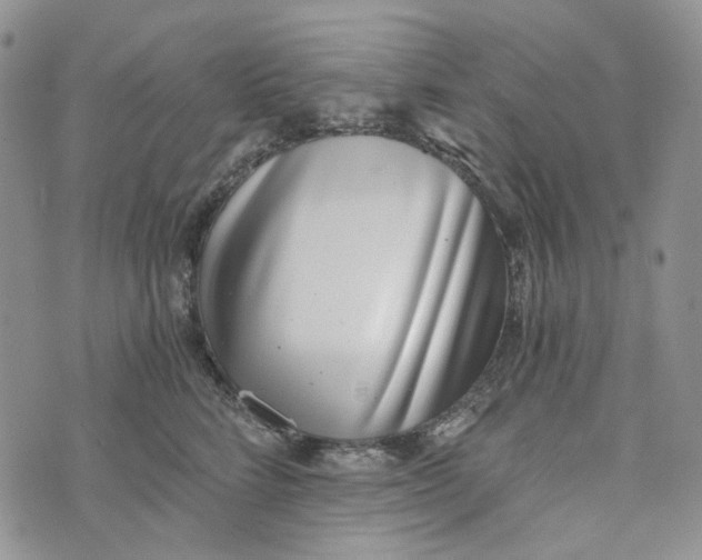 X0000072950712200608111626