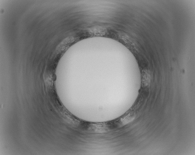 X0000072950713200608111626