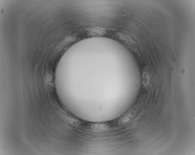 X0000072950714200608111626