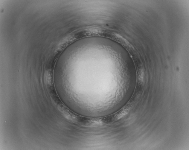 X0000072950715200608111626