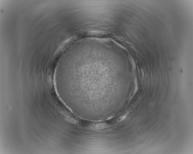 X0000072950716200608111626