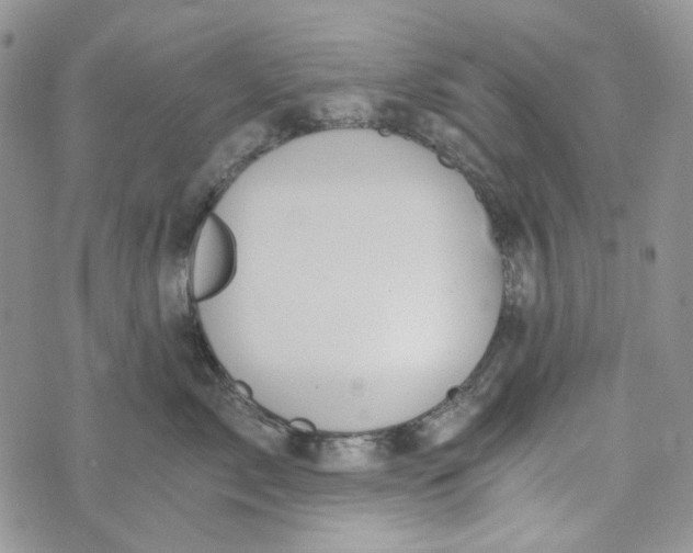 X0000072950717200608111626