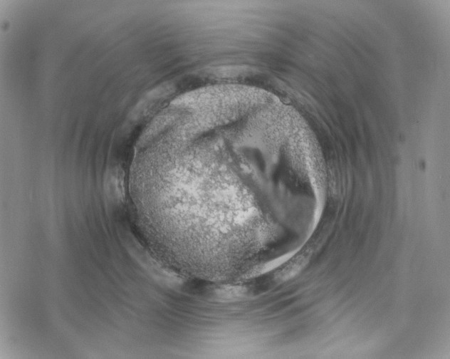 X0000072950718200608111626