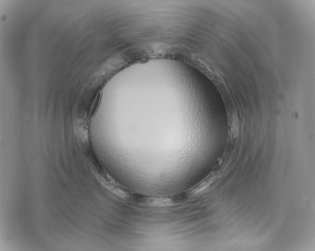 X0000072950719200608111626