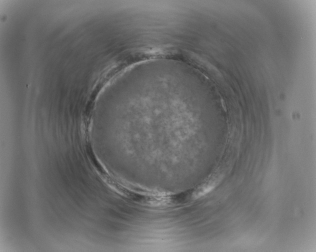 X0000072950720200608111625