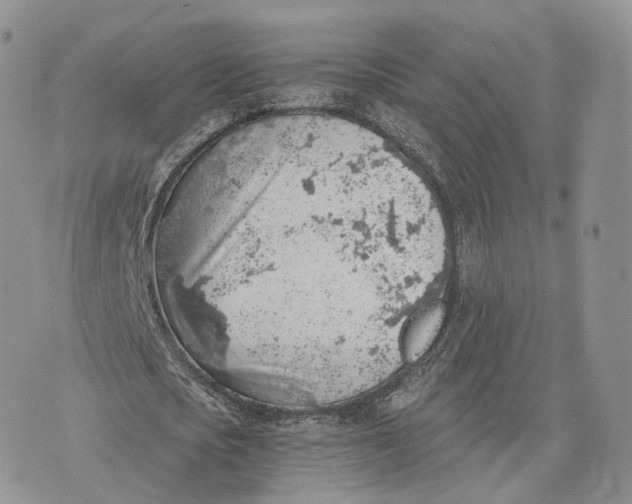 X0000072950721200608111625