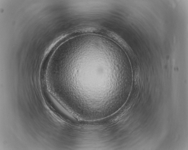 X0000072950722200608111625