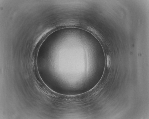 X0000072950723200608111625