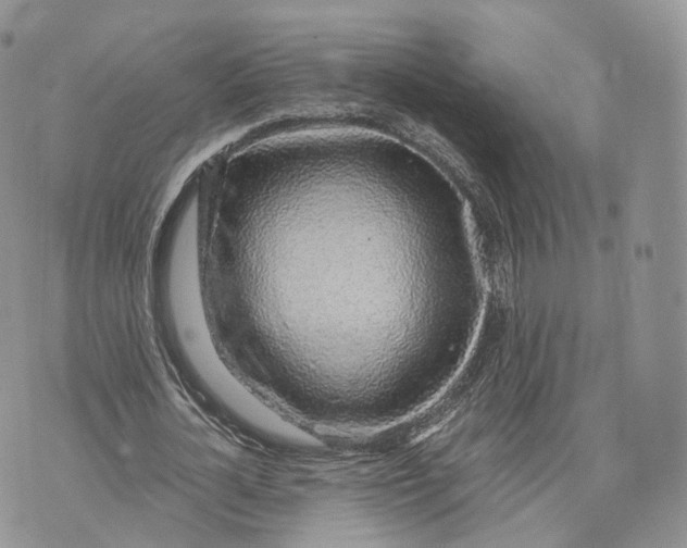 X0000072950724200608111625