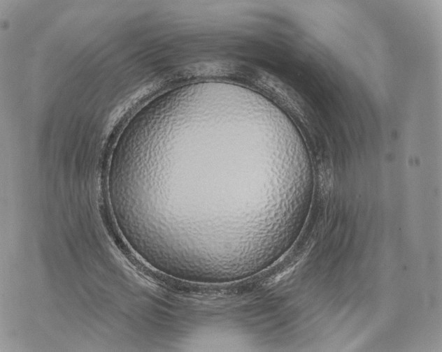 X0000072950725200608111625