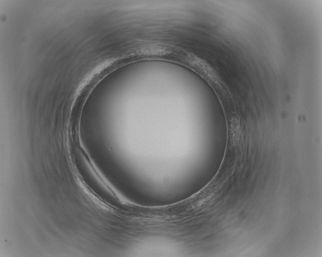 X0000072950726200608111625