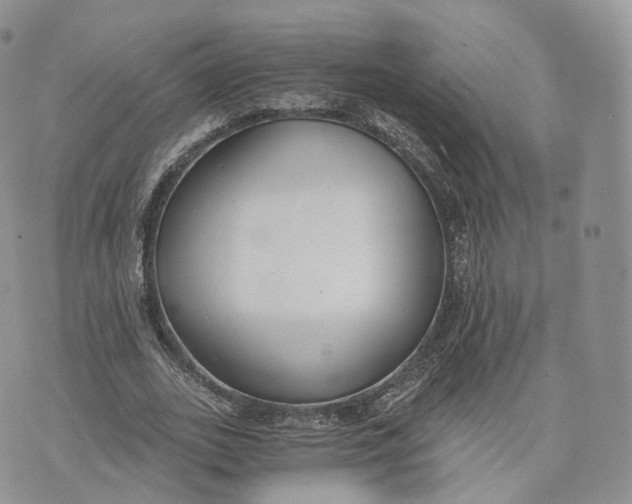 X0000072950727200608111625