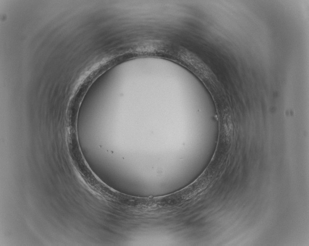 X0000072950728200608111625