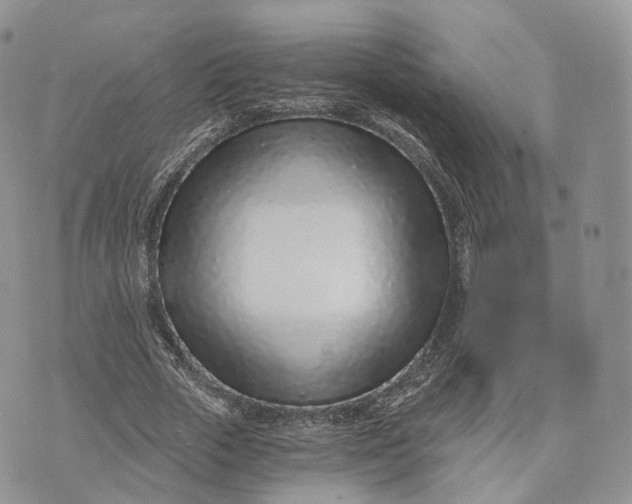 X0000072950729200608111625