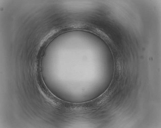 X0000072950730200608111625