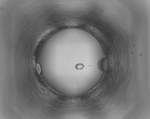 X0000072950731200608111625