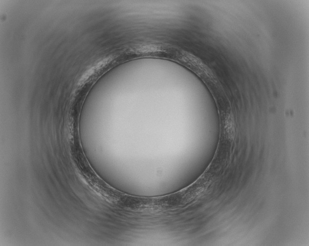 X0000072950732200608111625