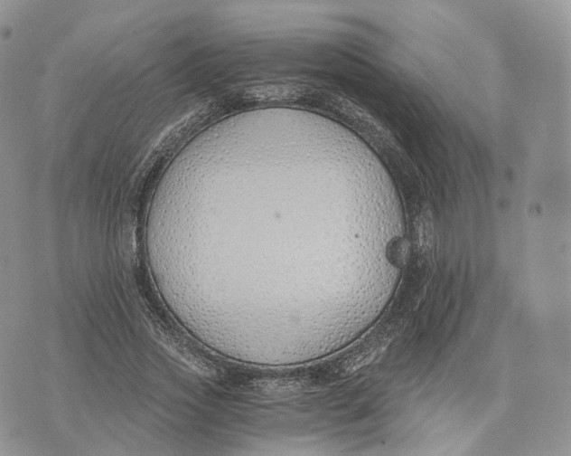 X0000072950733200608111625