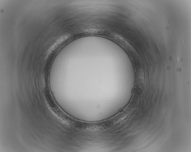 X0000072950734200608111625