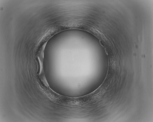 X0000072950735200608111625