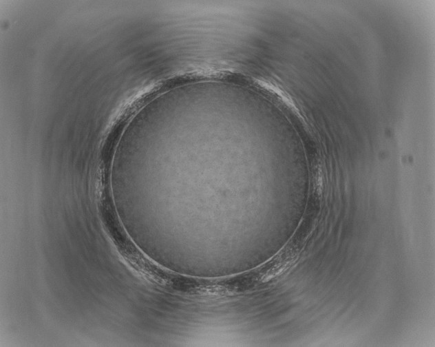 X0000072950736200608111625