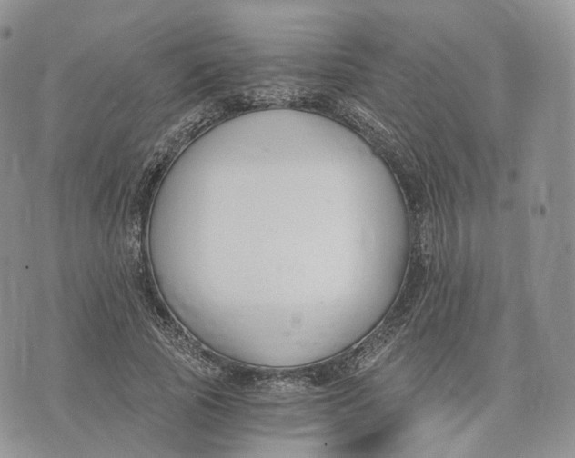 X0000072950737200608111625