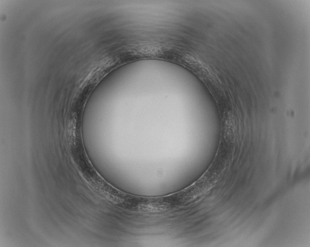 X0000072950739200608111625