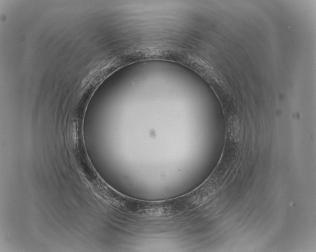 X0000072950740200608111625