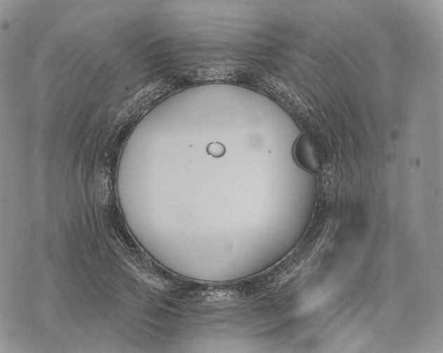 X0000072950741200608111625