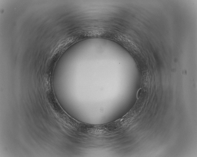 X0000072950743200608111625