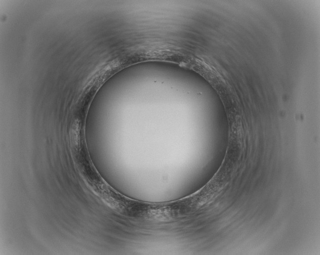 X0000072950744200608111625