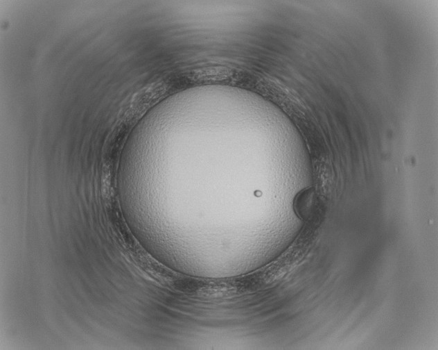 X0000072950745200608111625