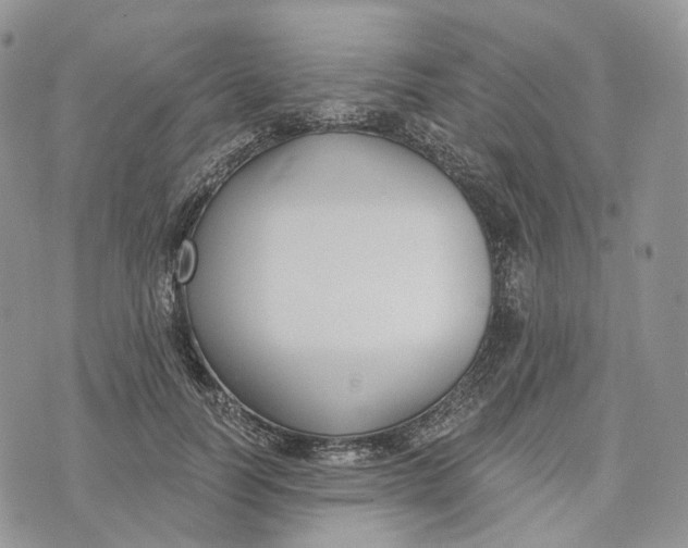 X0000072950746200608111625