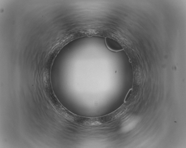 X0000072950747200608111625